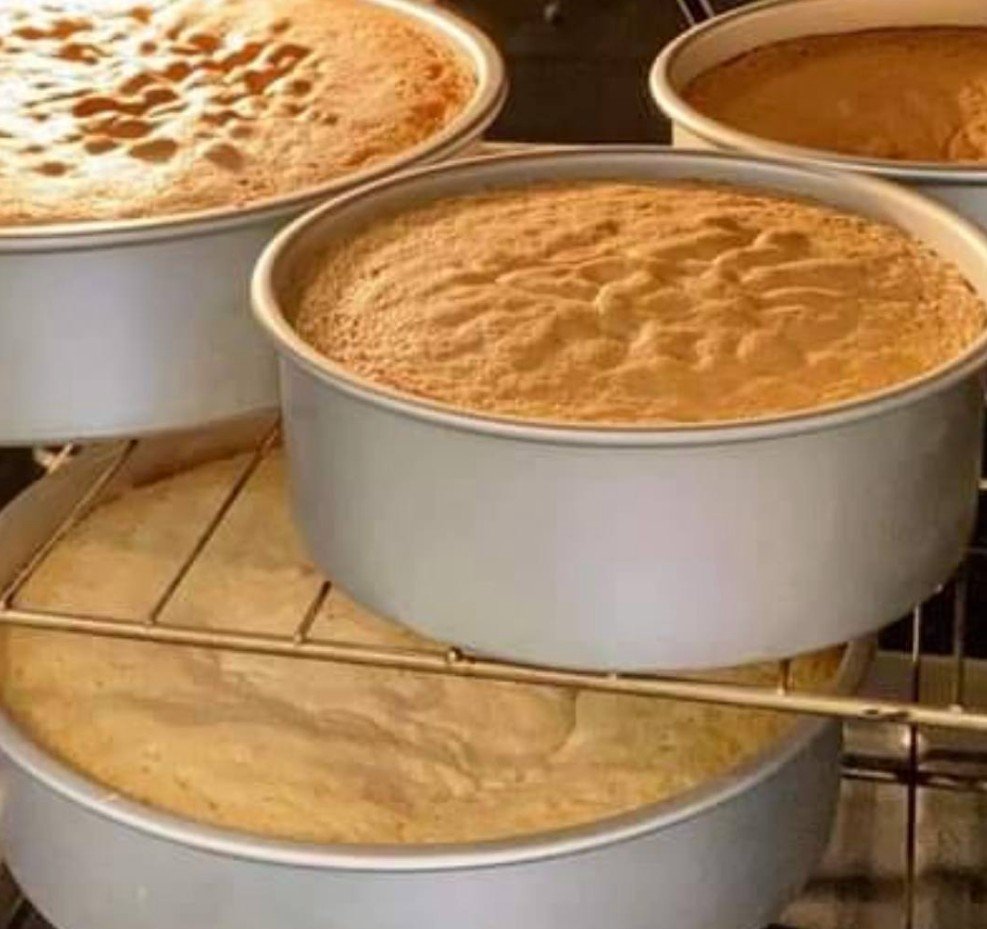 460122563_122156954252258716_8350393919218436872_n