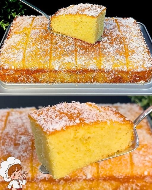 460576062_449140831480720_1027538051706699410_n