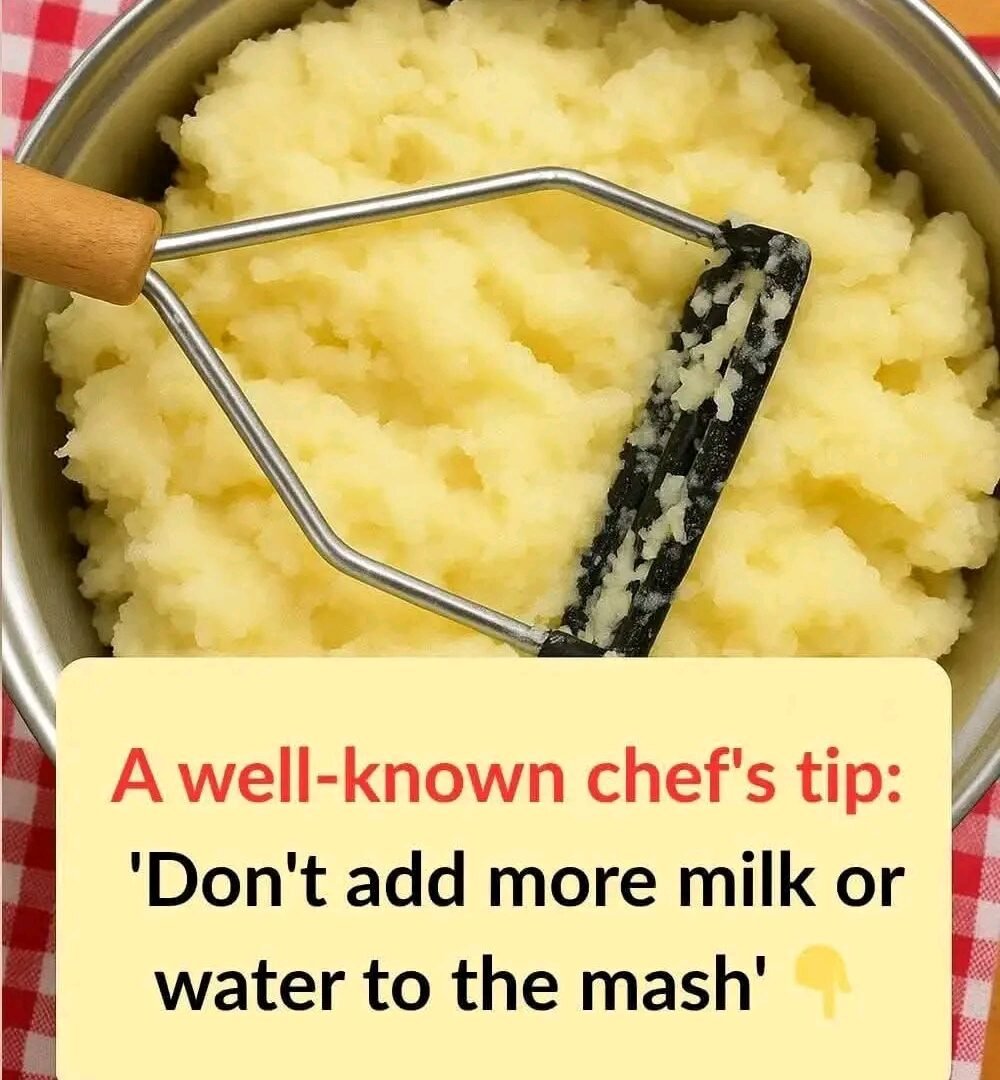 WELL KNOWN CHEFS TIP 1769380328965