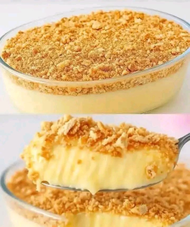 Creamy Custard Biscuit Dessert 1773014172523
