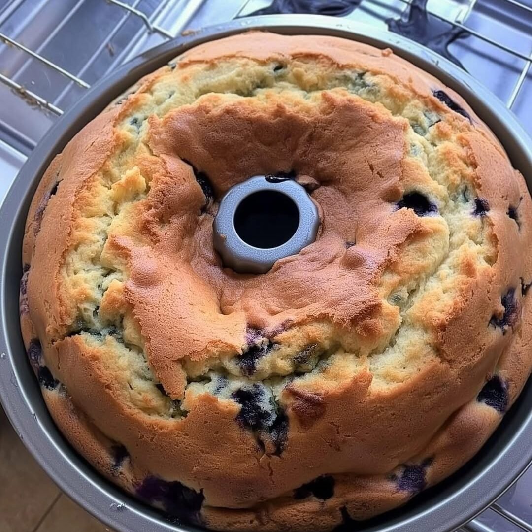 545594267_3211509295680110_2030635581479068587_n