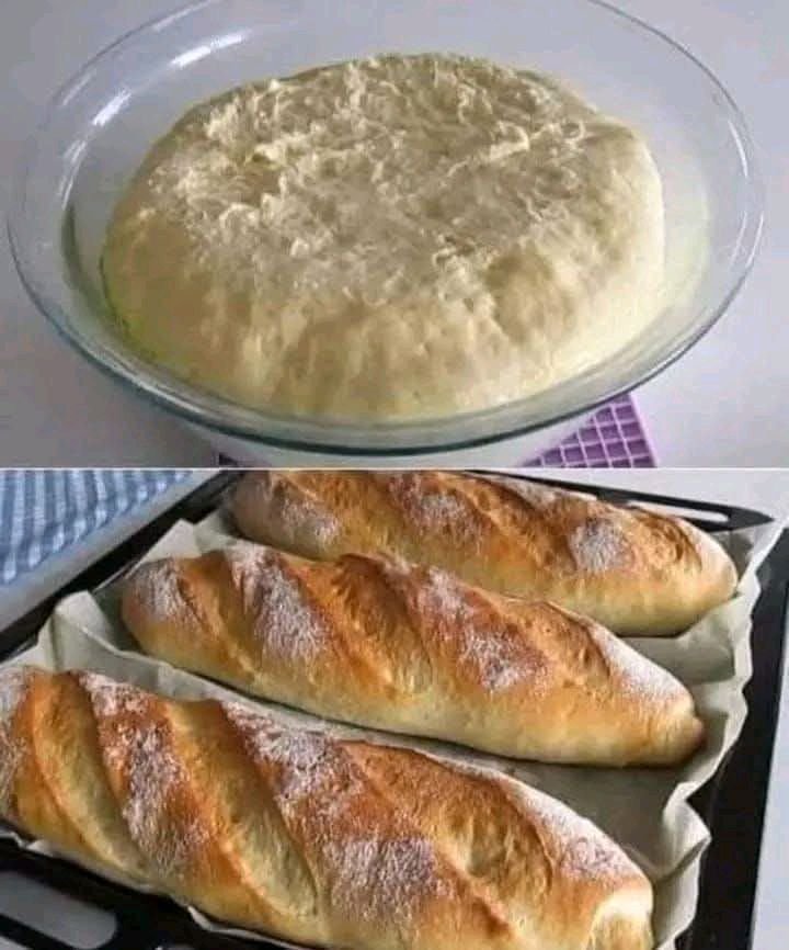 649212650_807883072332781_603237005465328135_n