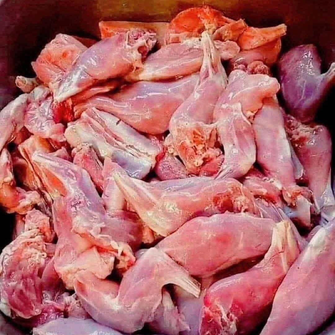 FB_IMG_1772497663660